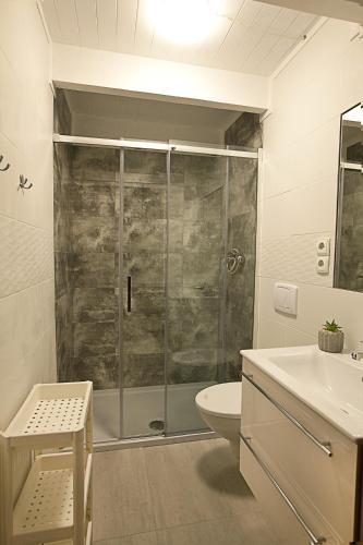 a bathroom with a shower and a toilet and a sink at Promyk in Sarbinowo