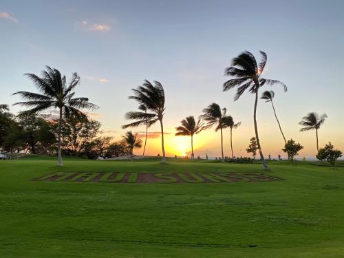a group of palm trees in a field with the sunset at Perfect for families and couples - Maui Sunset A-203 in Kihei