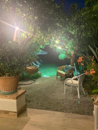 Il giardino dei limoni – Photos 2