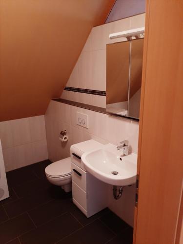 a small bathroom with a toilet and a sink at Schwarzwaldblick in Titisee-Neustadt