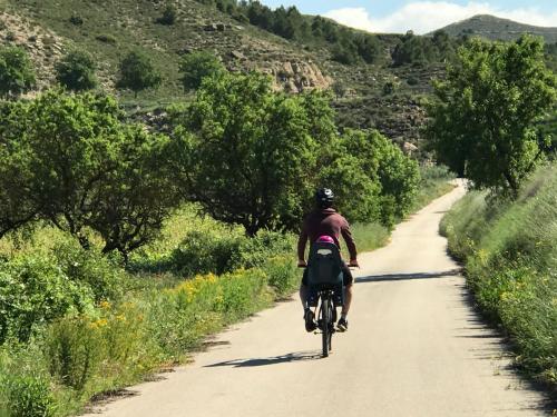 a man riding a bike down a dirt road at Pensión Úbeda in Fuenmayor