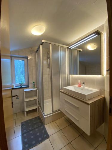 a bathroom with a sink and a shower at Ferienhaus Hirtenwiese in Willingen