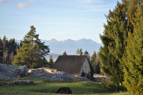 an old barn in a field with mountains in the background at Penzión Thamasy in Spišské Tomášovce