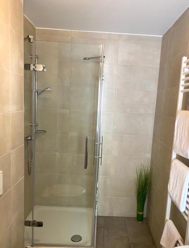 a shower with a glass door in a bathroom at Hotel Gasthof Koch in Daaden