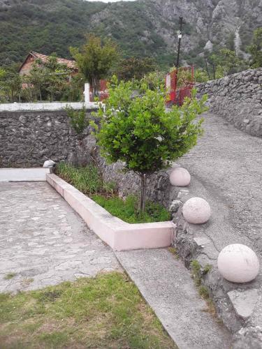 Gallery image of Konoba in Cetinje