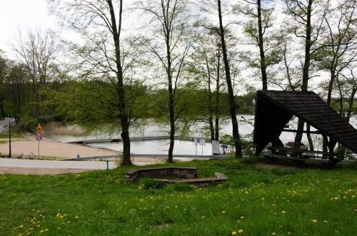 a sculpture in the grass next to a body of water at Domek Rospuda in Rospuda