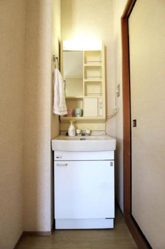 a bathroom with a white sink and a mirror at コーポアス in Nikko