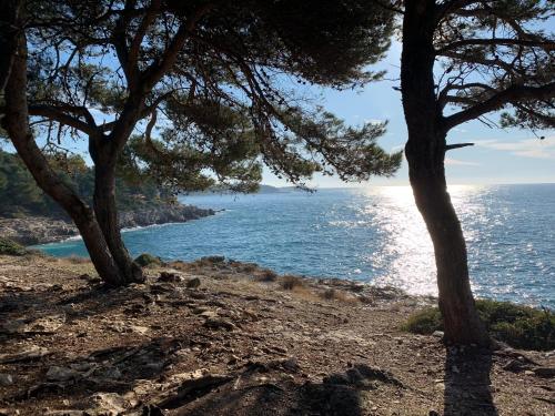 Φυσικό τοπίο κοντά σε αυτό το διαμέρισμα