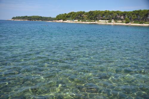 Φυσικό τοπίο κοντά σε αυτό το διαμέρισμα