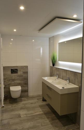 a bathroom with a sink and a toilet and a mirror at Appartement zeldenrust in Oostkapelle