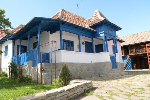 a blue and white house with blue trim at Casa de vacanta traditionala romaneasca in Schiuleşti