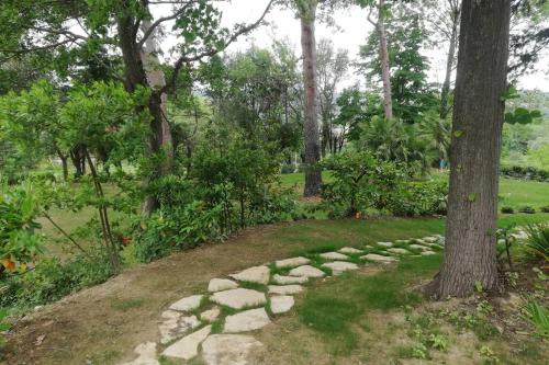 Κήπος έξω από το Villa Monte Illuminato