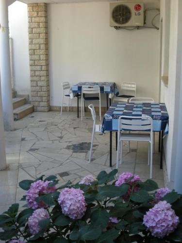 Φωτογραφία από το άλμπουμ του Apartments Golubic στην Πούλα
