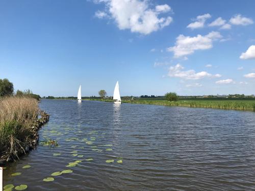 three white sailboats on a river with a sky at Bed&Breakfast Maasland in Maasland