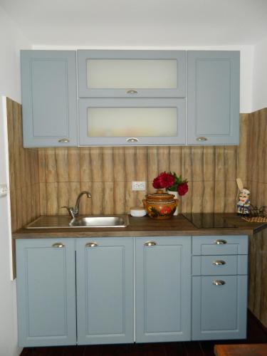a kitchen with blue cabinets and a sink at Casa de vacanta traditionala romaneasca in Schiuleşti