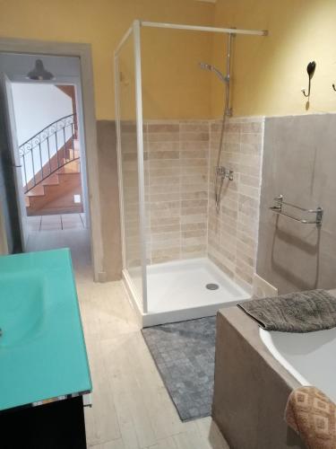 une salle de bain avec douche et baignoire dans l'établissement Gîte Pierre et Marie, à Mellecey