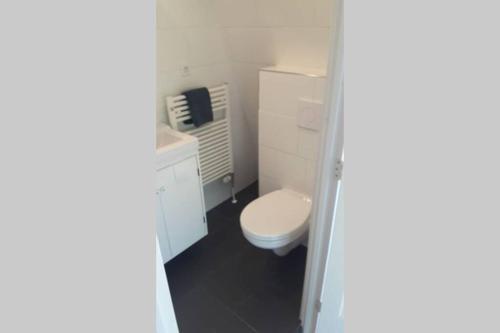 a bathroom with a white toilet and a sink at bij San & Ka in Hauwert