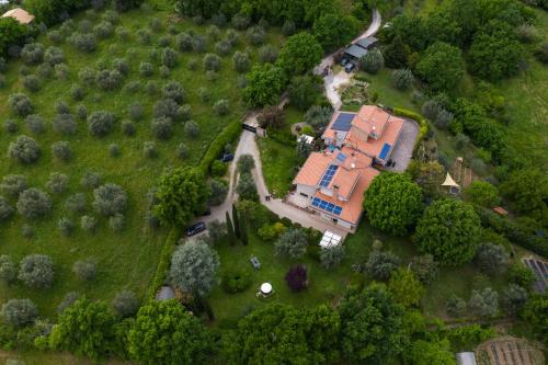 BIO & B - ITALYKE – Photos 5