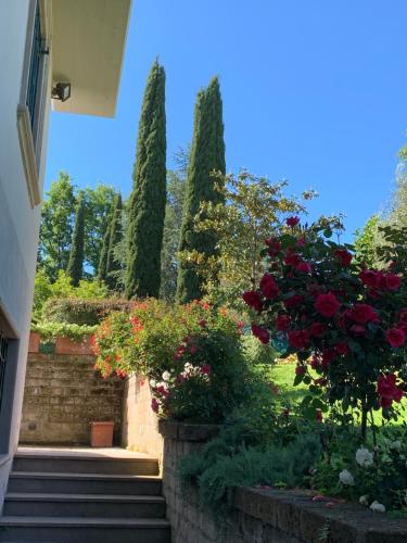 BIO & B - ITALYKE – Photos 4