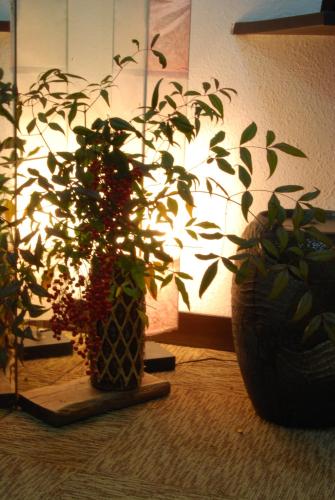 two potted plants are sitting on a floor at Kogakuro in Myoko