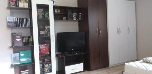 a living room with a tv and a book shelf at Guest house Dagovic in Bajina Bašta