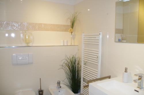 un baño con 2 lavabos y una planta en la pared en Relaxzone 202 - Hohen Wieschendorf en Hohen Wieschendorf