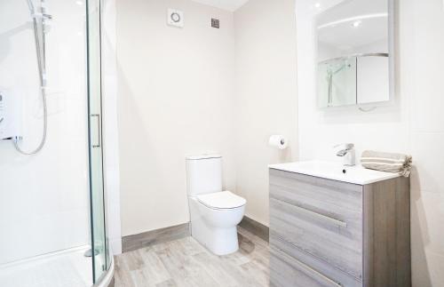 a white bathroom with a toilet and a shower at Bannview Bed & Breakfast in Portadown