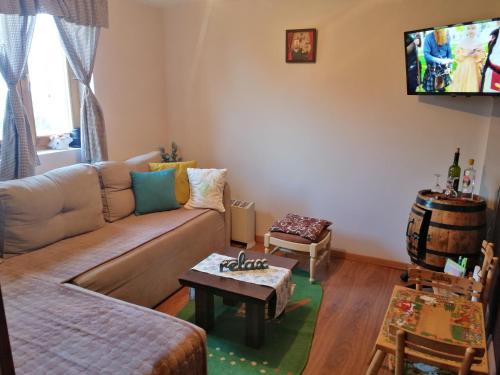uma sala de estar com um sofá e uma televisão em Vikendica RANKOVIĆI em Mokra Gora