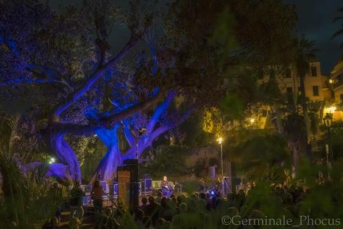 a group of people standing under a tree at night at Dormiusa in Bordighera