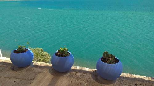 three blue pots with plants sitting on a wall near the water at Linamare Eolos in Kivérion
