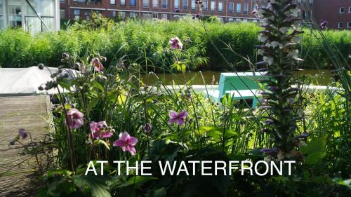 un jardin avec des fleurs et des mots au bord de l'eau dans l'établissement Room With A Few, à Amsterdam
