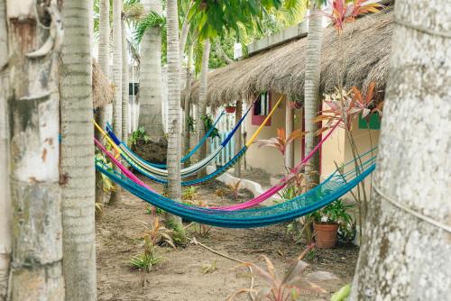 Imagen de la galería de CASA FRIDA FULL APARTMENTS holbox, en Isla Holbox