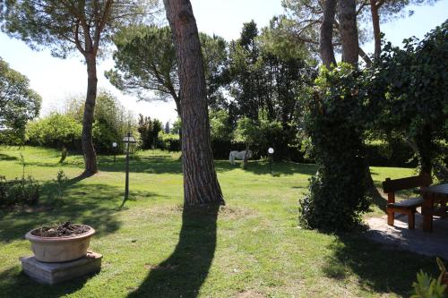 a park with a tree and a bench in the grass at Podere San Paolo in San Giuliano Terme