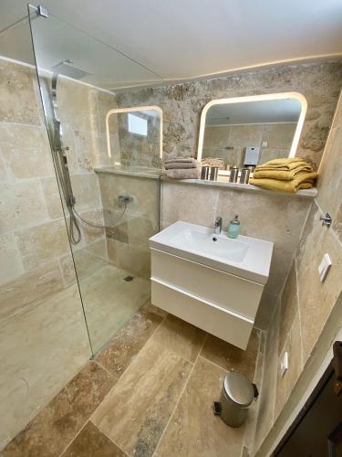 une salle de bain avec un lavabo et une douche dans l'établissement Domaine de La Michelle, à Madaillan