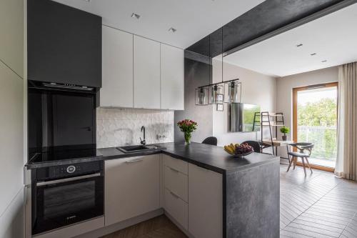 Kuchyň nebo kuchyňský kout v ubytování Dream4You Apartments