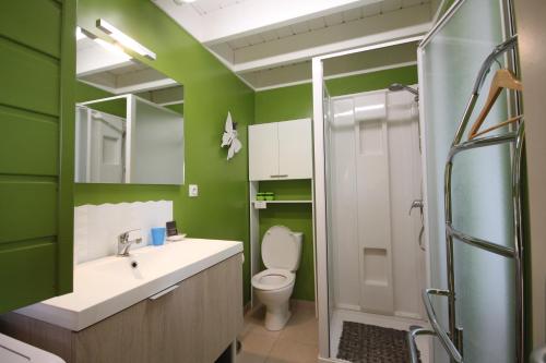 baño con paredes verdes, aseo y ducha en Journal aux Lacs-5pers, en Froidchapelle