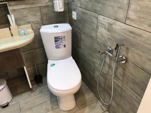 a bathroom with a toilet and a shower at CASA NEPTUN in OLD BATUMI in Batumi