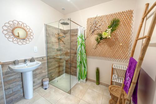 a bathroom with a shower and a sink at Chambres d hôtes LA FERME DES BOUTONS in Frizon-la-Haute