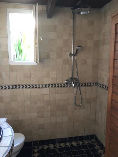 une salle de bain avec douche, toilettes et fenêtre dans l'établissement Maisonette L'OLIVIER, à Pérols