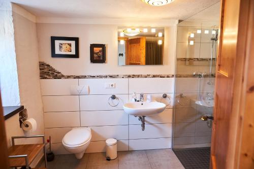 ein Bad mit einem Waschbecken, einem WC und einer Dusche in der Unterkunft Hof Bergidyll in Bürberg