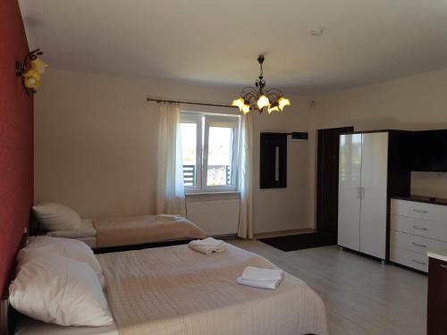 a bedroom with two beds and a window at Apartamenty Maja -Pokoje - Domy wakacyjne -Basen Podgrzewany -Jacuzzi in Łeba