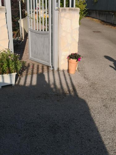 Φωτογραφία από το άλμπουμ του Guest House Milva σε Sperlonga