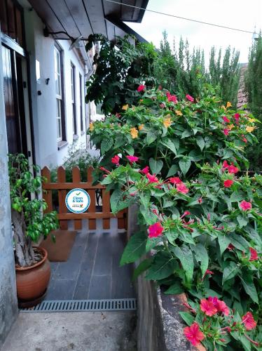 a porch with a bunch of flowers and a bench at Casa do Sr. Falcão in Miranda do Corvo