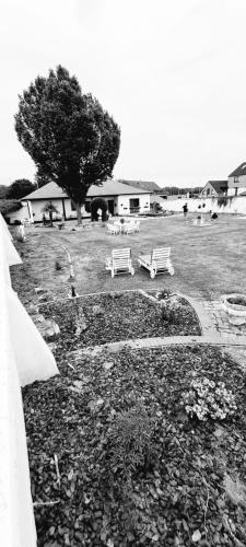 a black and white photo of benches in a park at Spelver95 in Bilzen