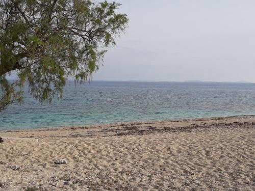 Pantai di atau di dekat rumah liburan