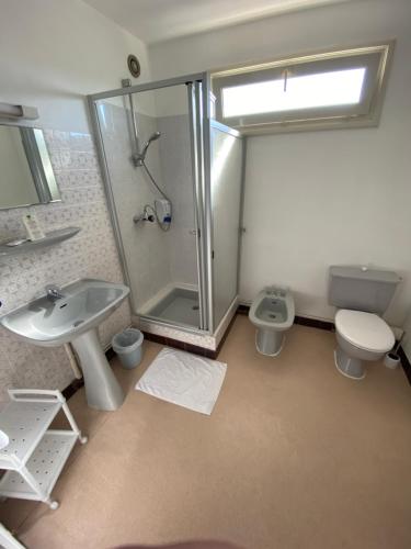 a bathroom with a shower and a sink and a toilet at Le Lyon Vert in Commentry