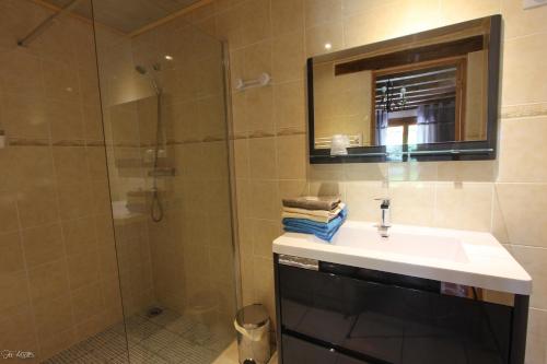 y baño con lavabo y ducha. en Domaine de La Couture, en Évaux-les-Bains