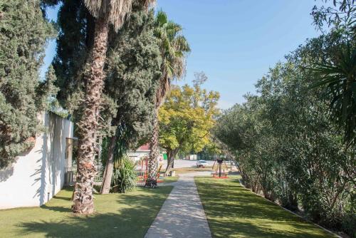 a walkway lined with palm trees in a park at HI - Maayan Harod Hostel in Gid‘ona