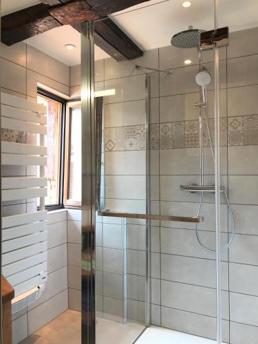 une douche avec une porte vitrée dans une salle de bain dans l'établissement Gîtes La Petite Venise Colmar, à Colmar