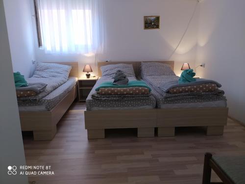 Postel nebo postele na pokoji v ubytování Guest House Vila Banjica